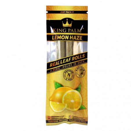 King Palm - Lemon Haze - 2 Minis