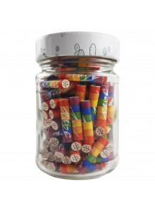 Purize Filter XTRA Slim Rainbow/Diversity 100 jar - Back